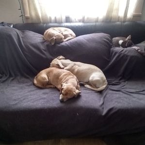 Meet your Posher, Yvette